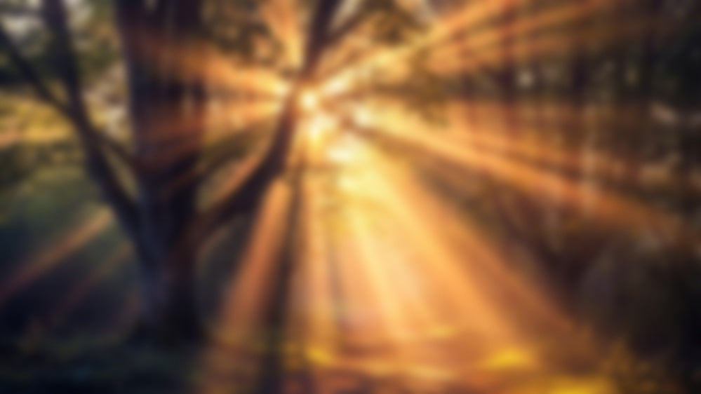 Spiritual & Metaphysical Books